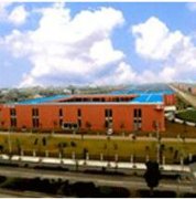 中國飛躍集團(tuán)公司